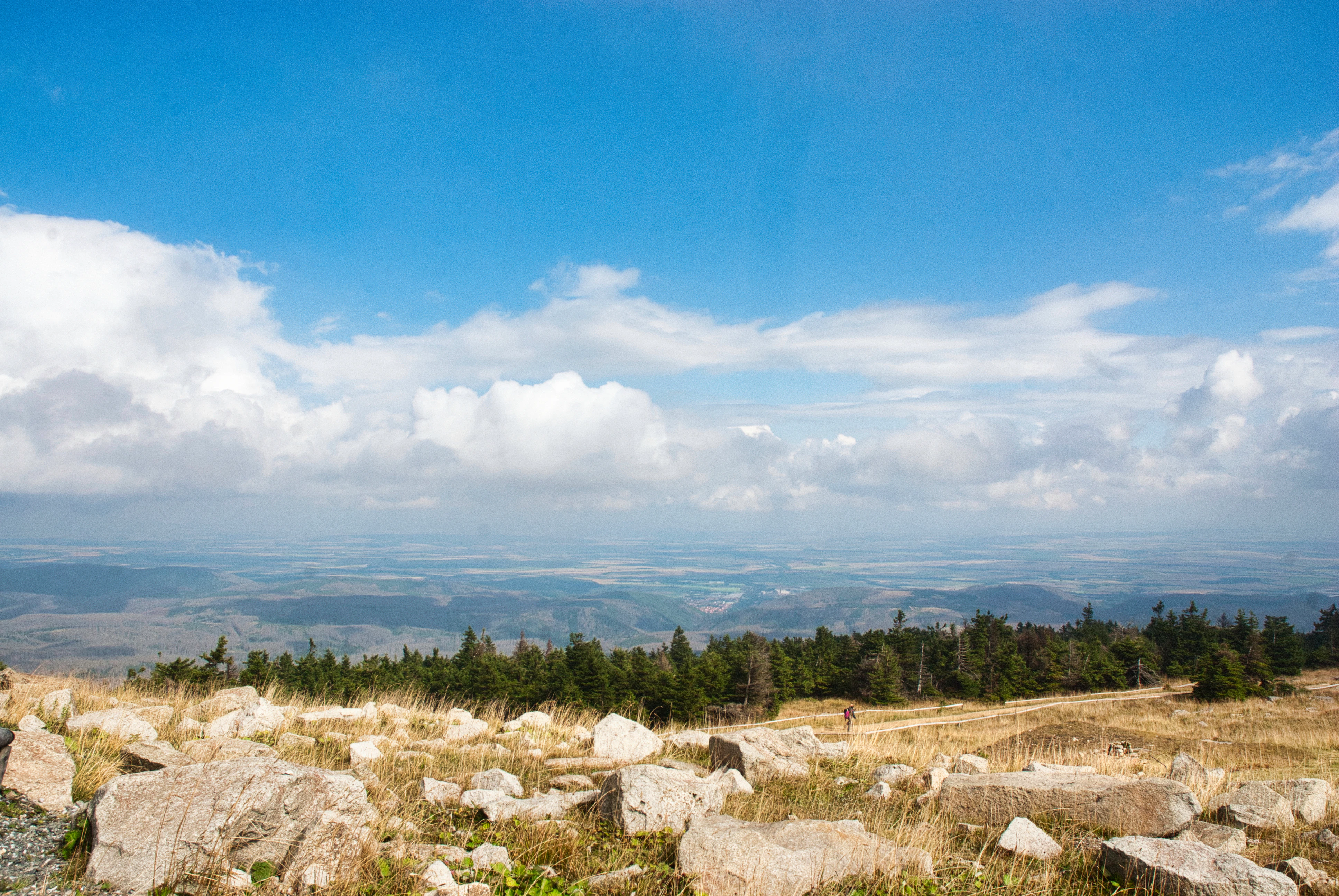 Rocky mountain landscape with scattered trees and clouds