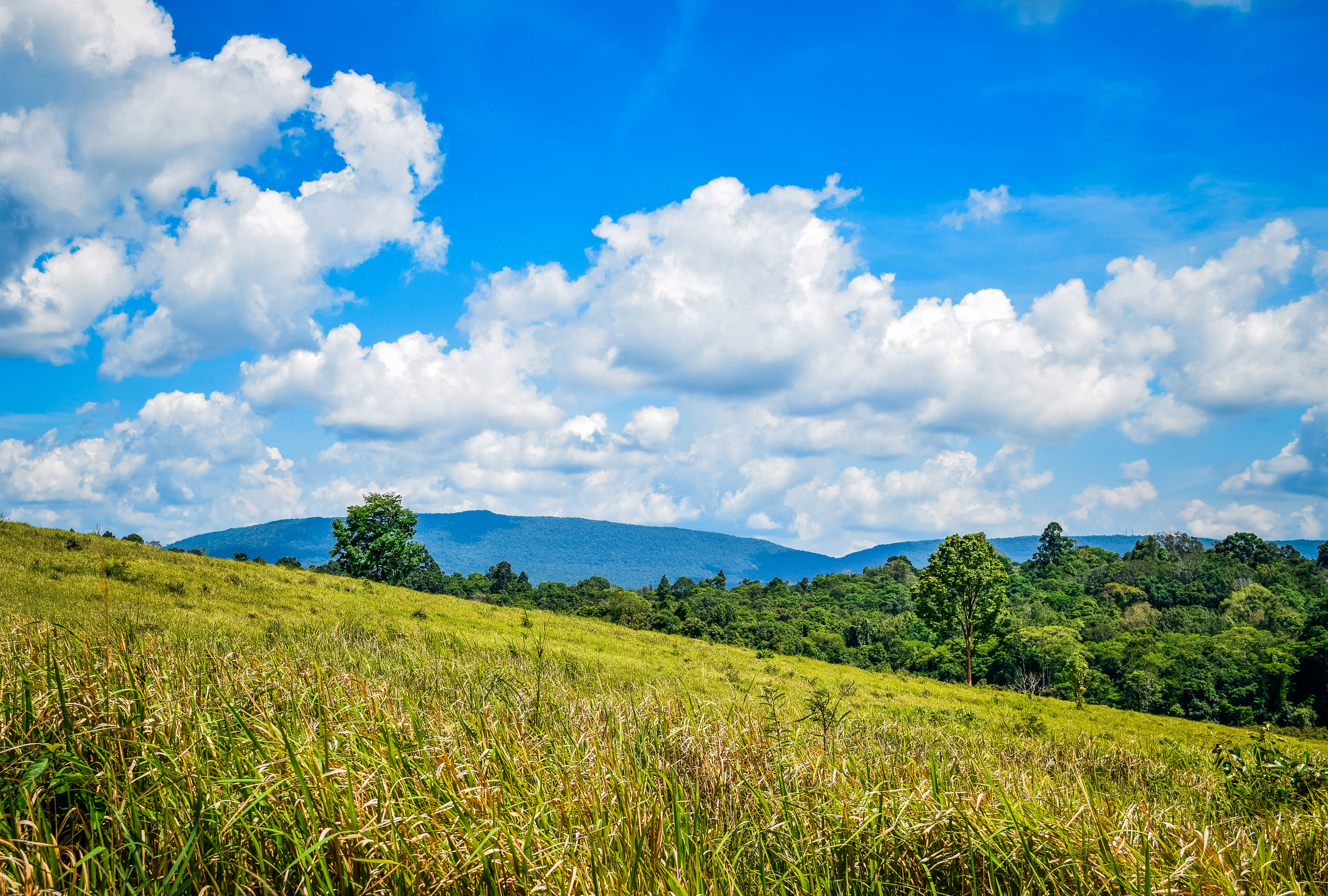Blue sky and green hills create a scenic landscape.