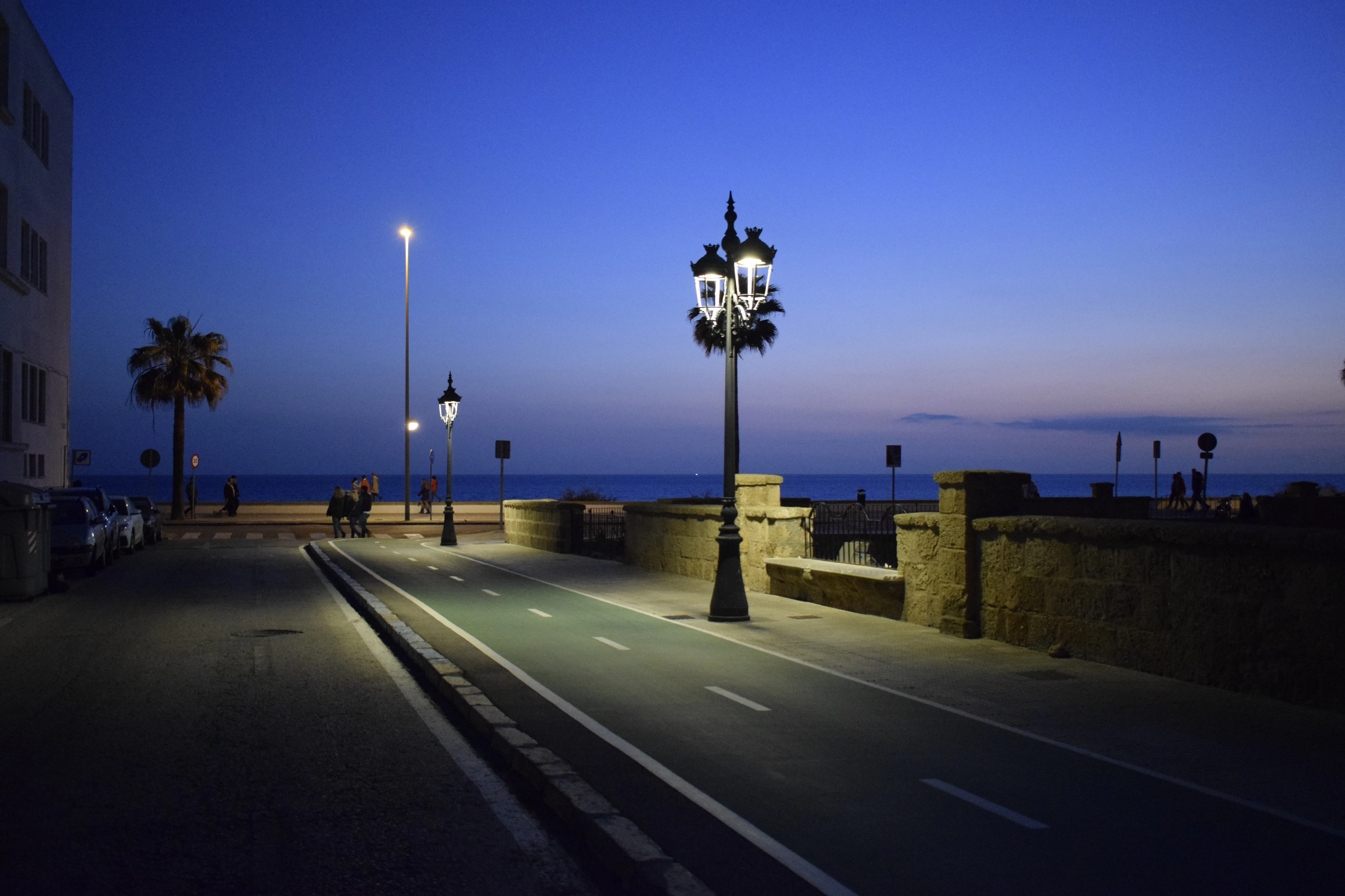 a road with street lamps and a body of water in the background