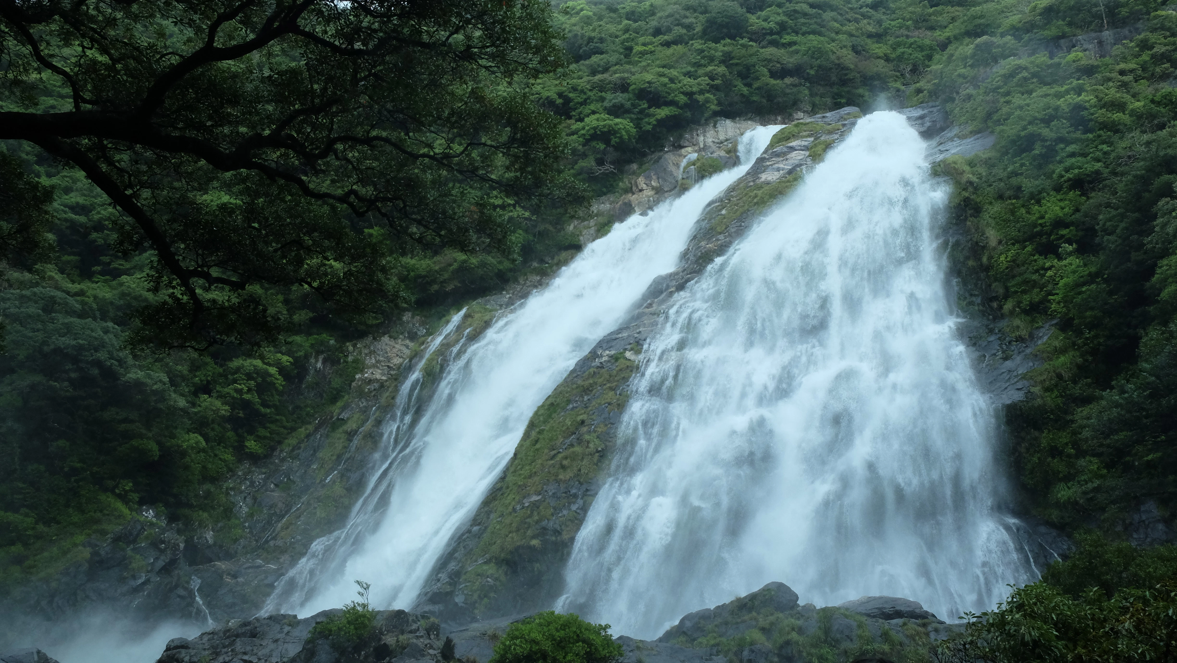 a large waterfall in the middle of a forest