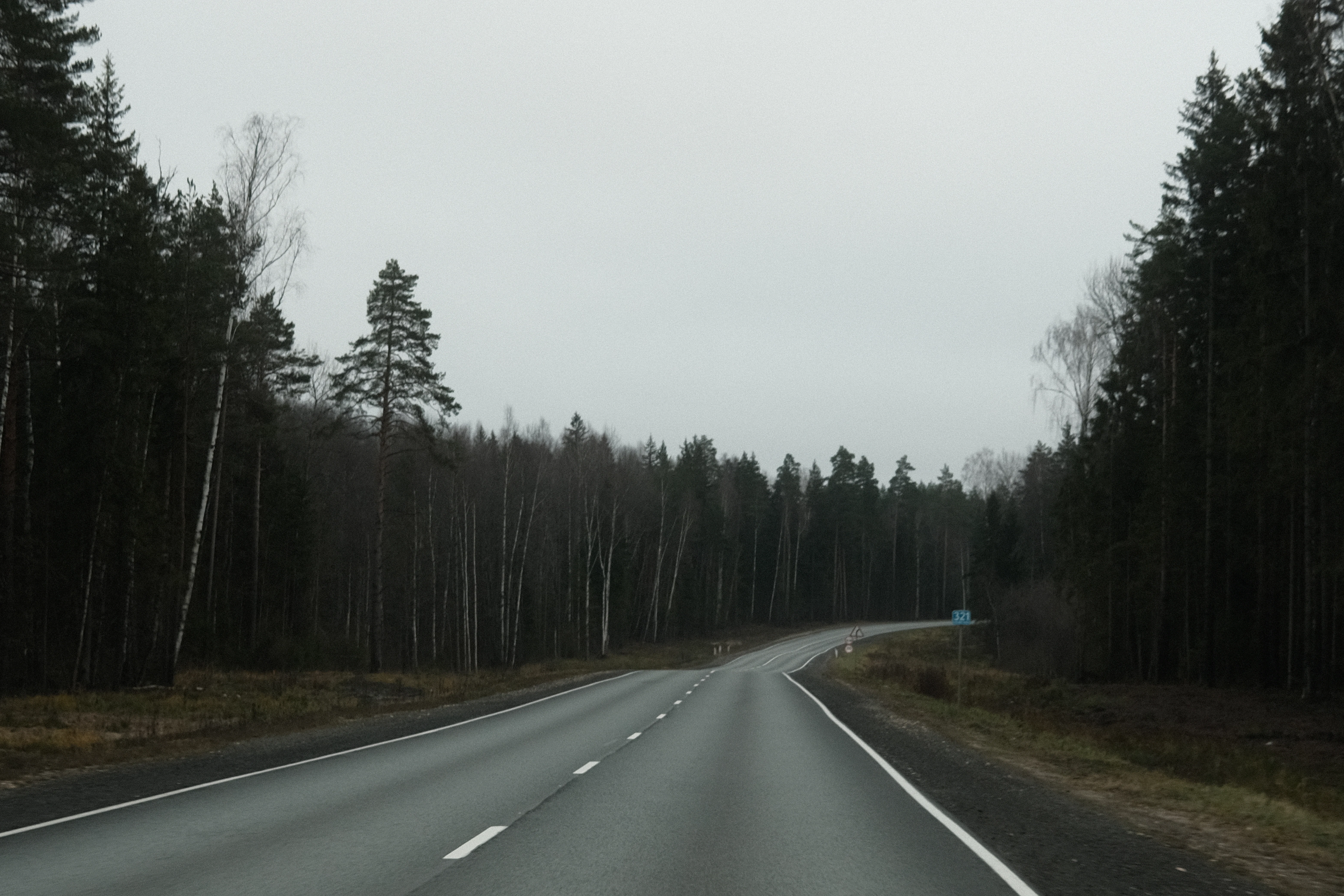 an empty road in the middle of a forest
