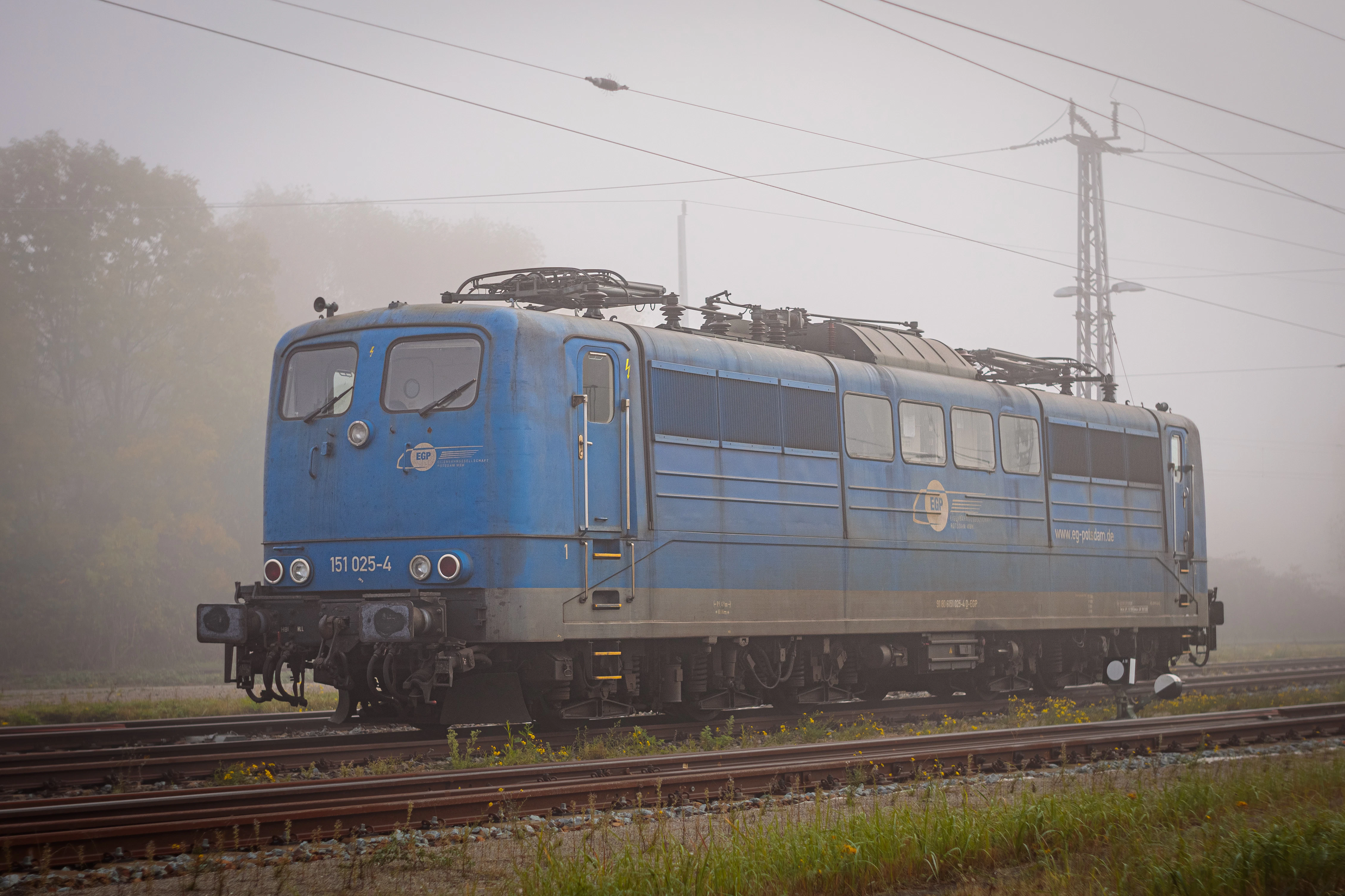 A blue train traveling down train tracks next to a forest
