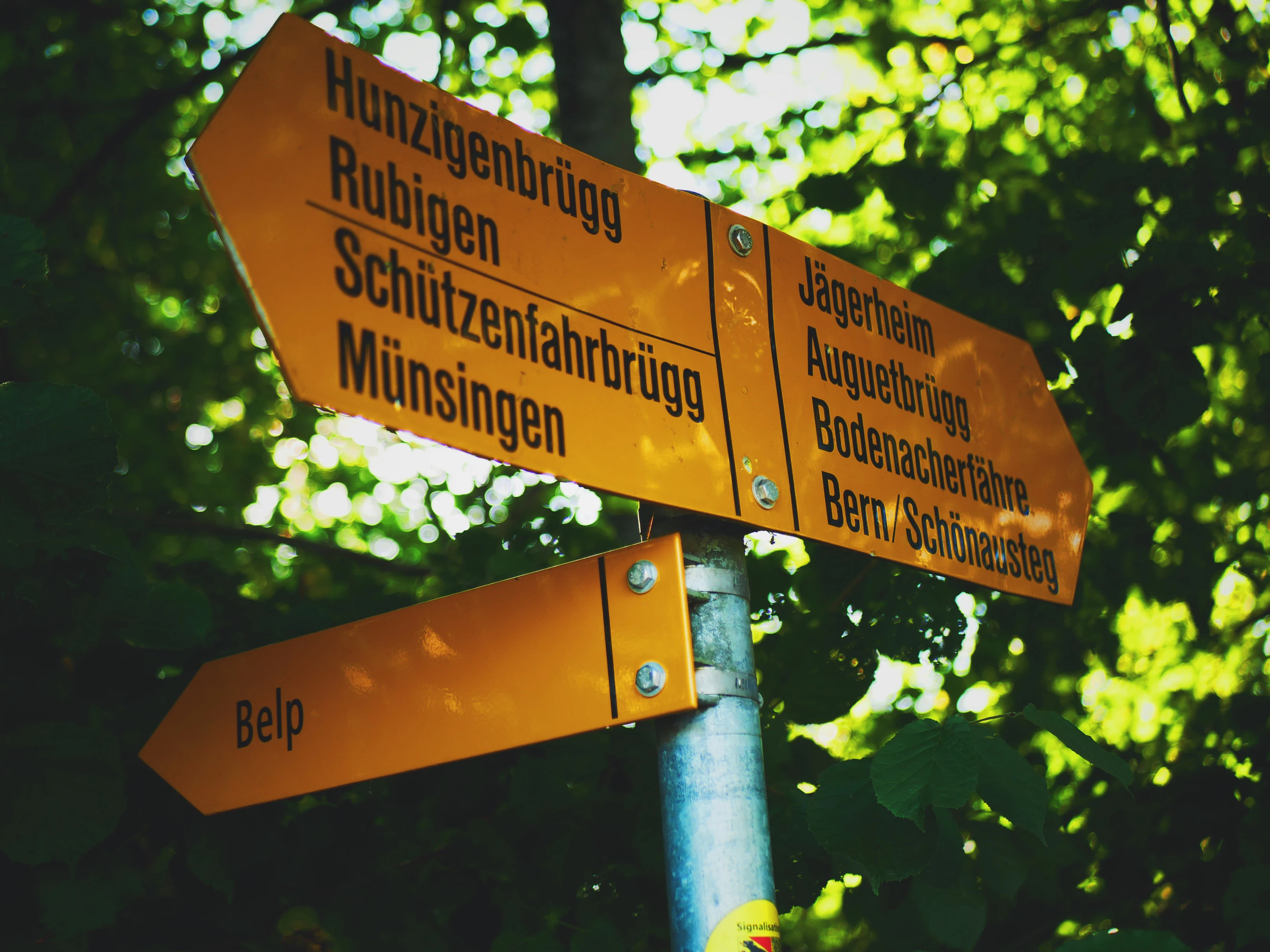 a close up of a street sign with trees in the background