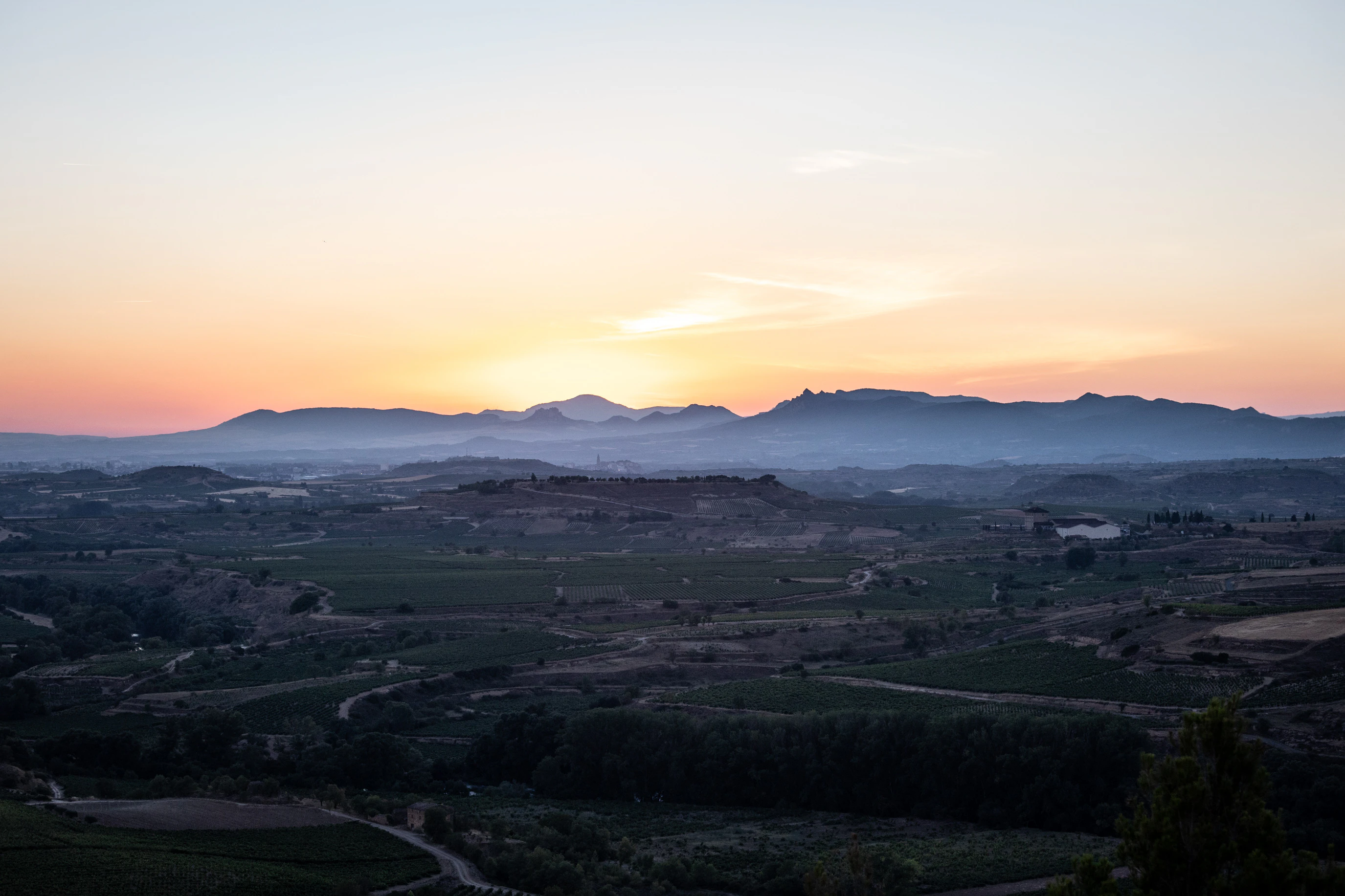 a landscape with trees and mountains in the background