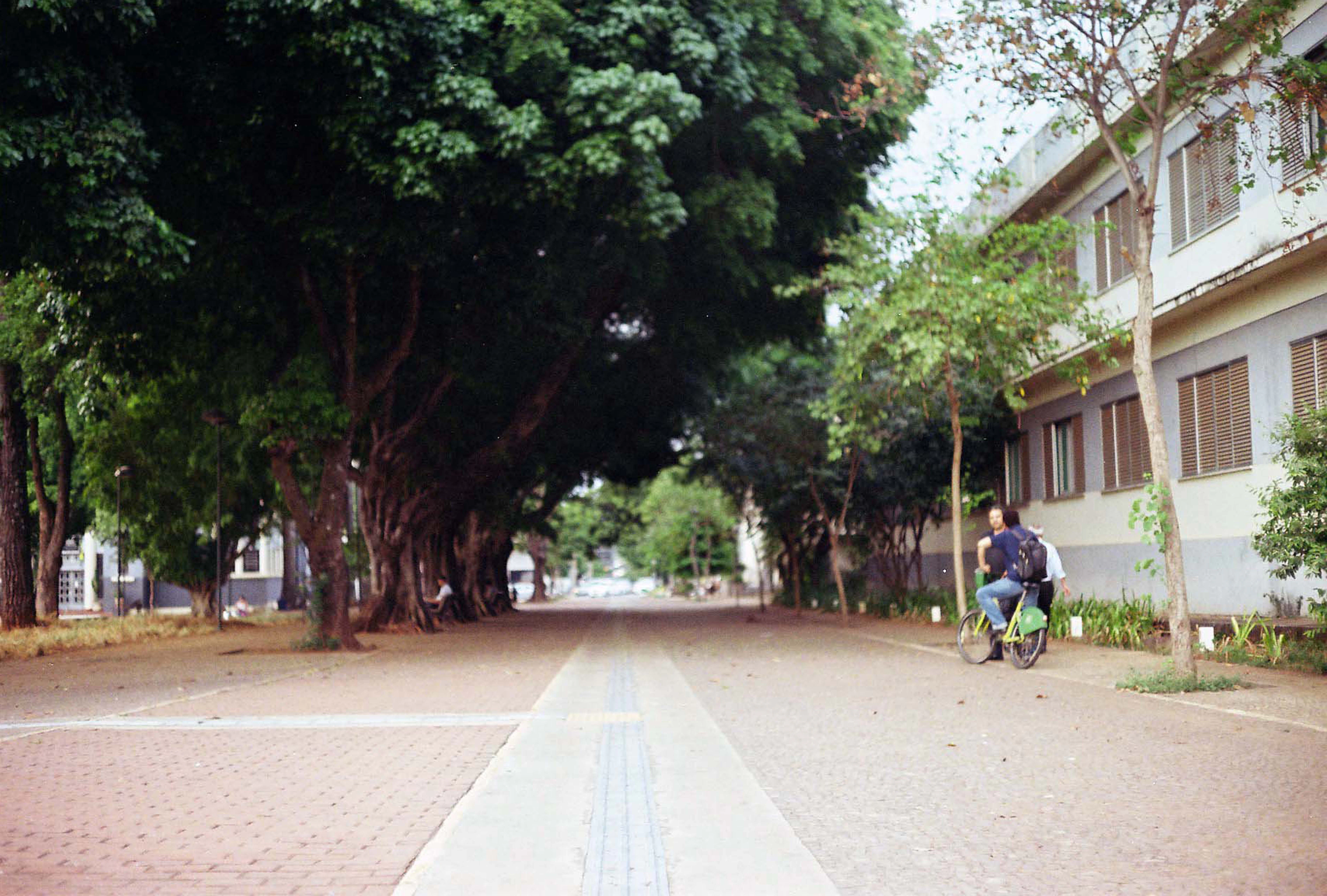 man in blue shirt riding bicycle on gray concrete road during daytime