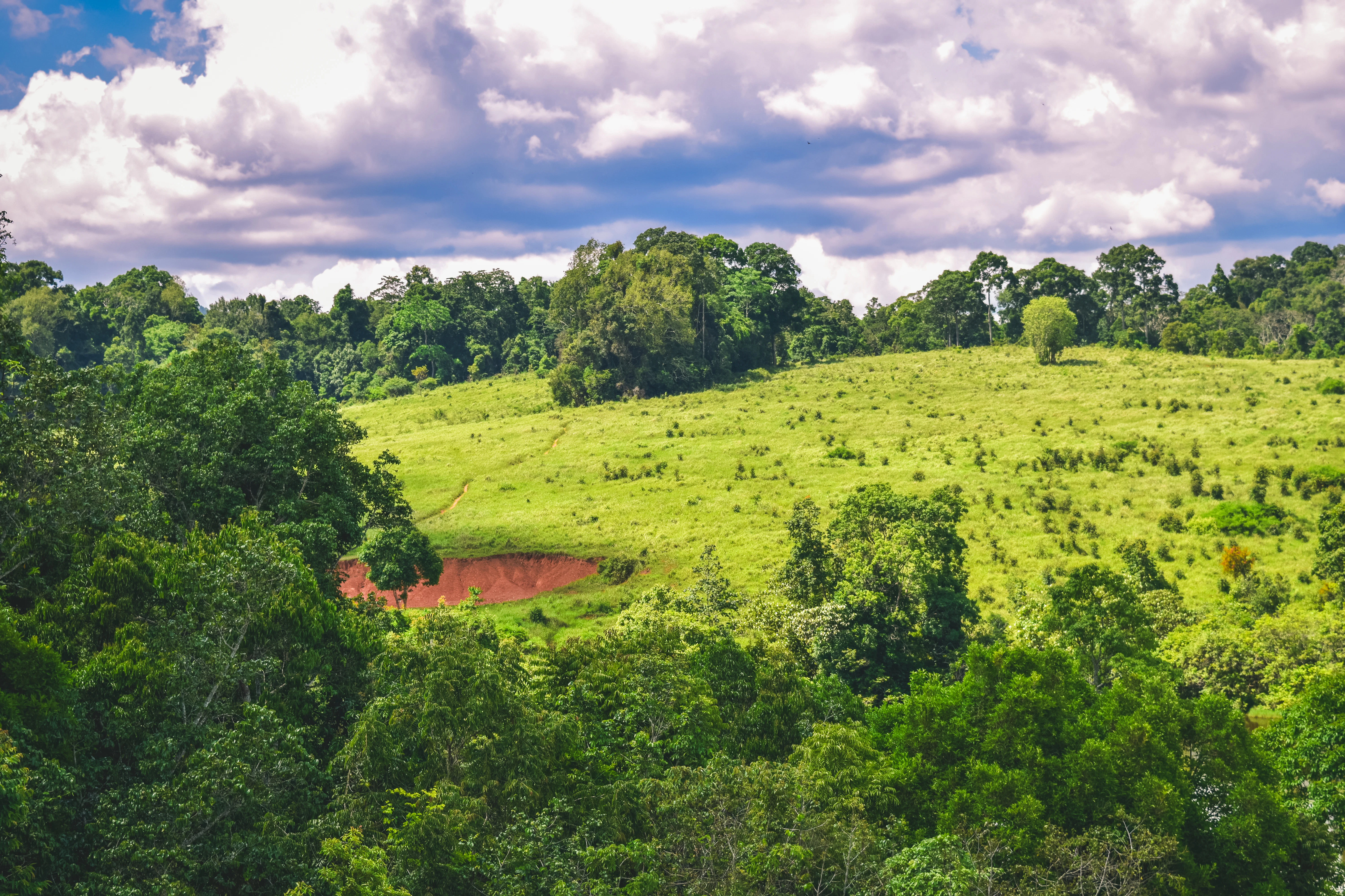 Green field surrounded by lush trees under a cloudy sky.