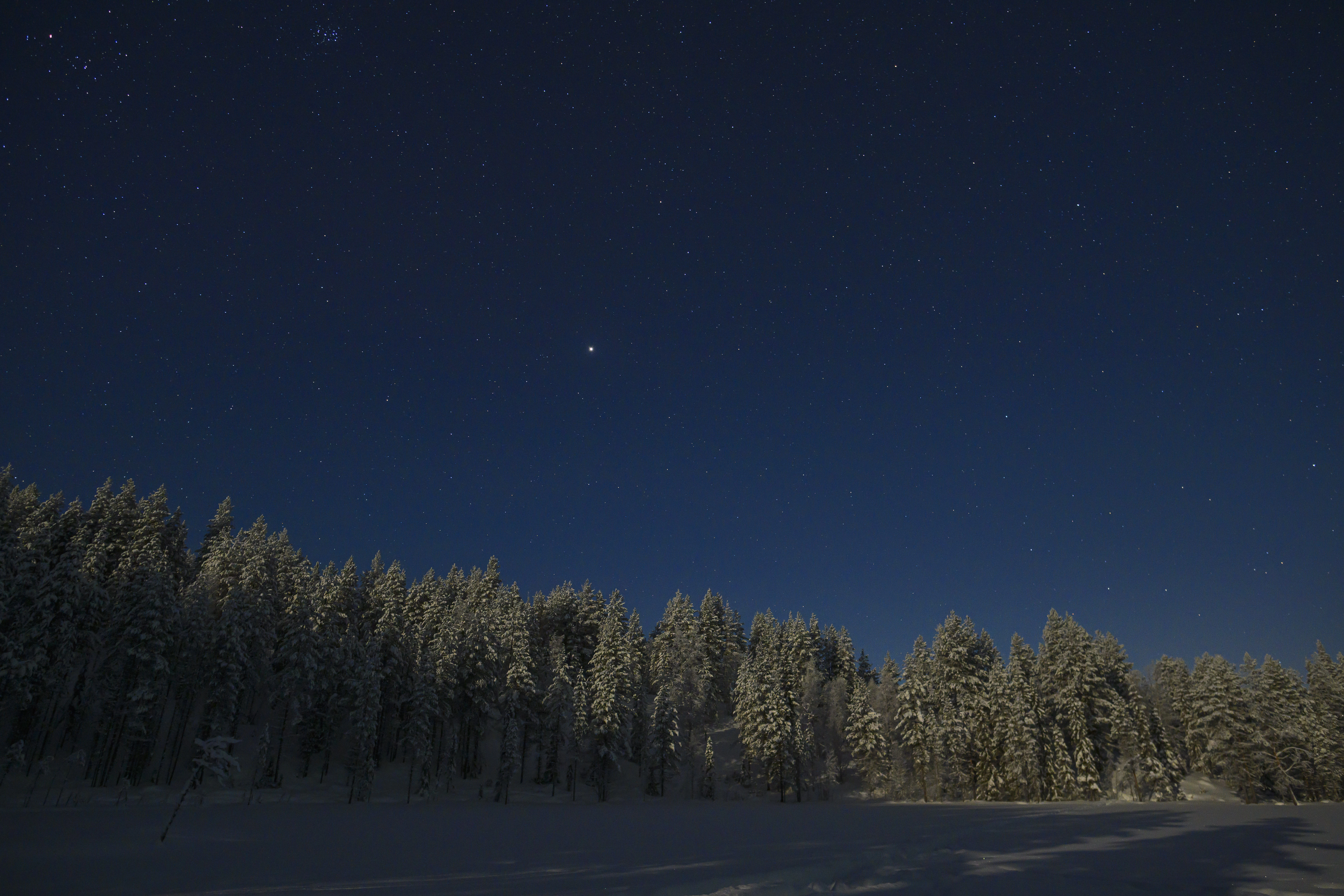 a night sky with stars above a snow covered forest
