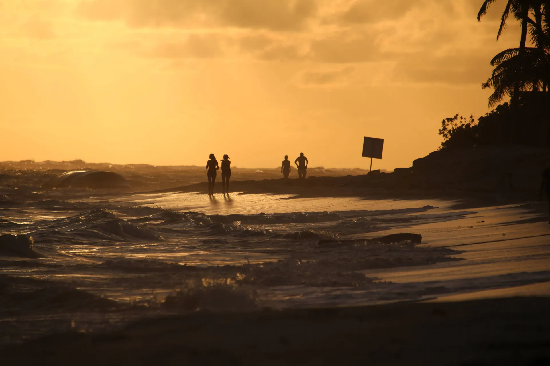 silhouette of people walking on beach during sunset