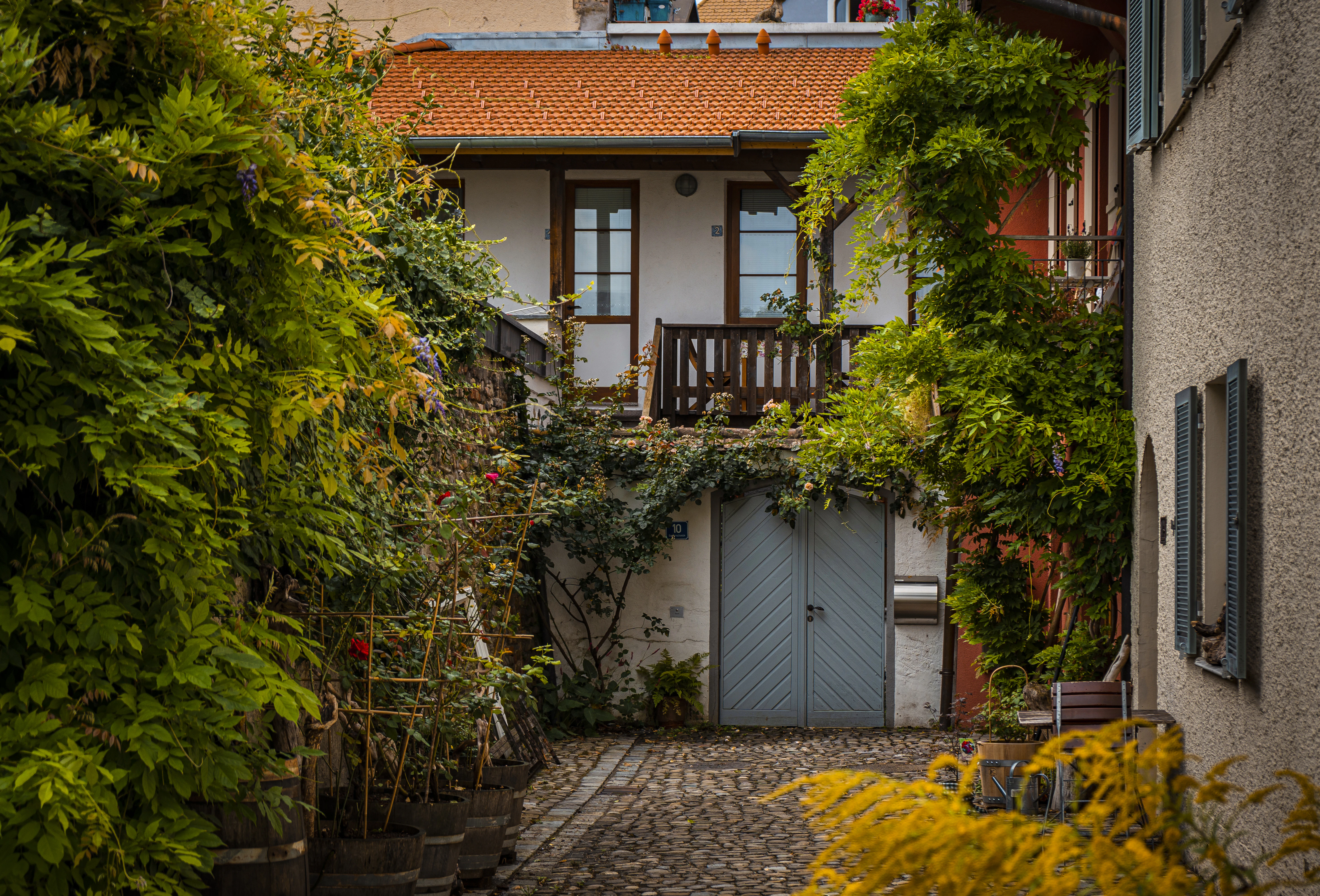 A house with a blue door surrounded by greenery