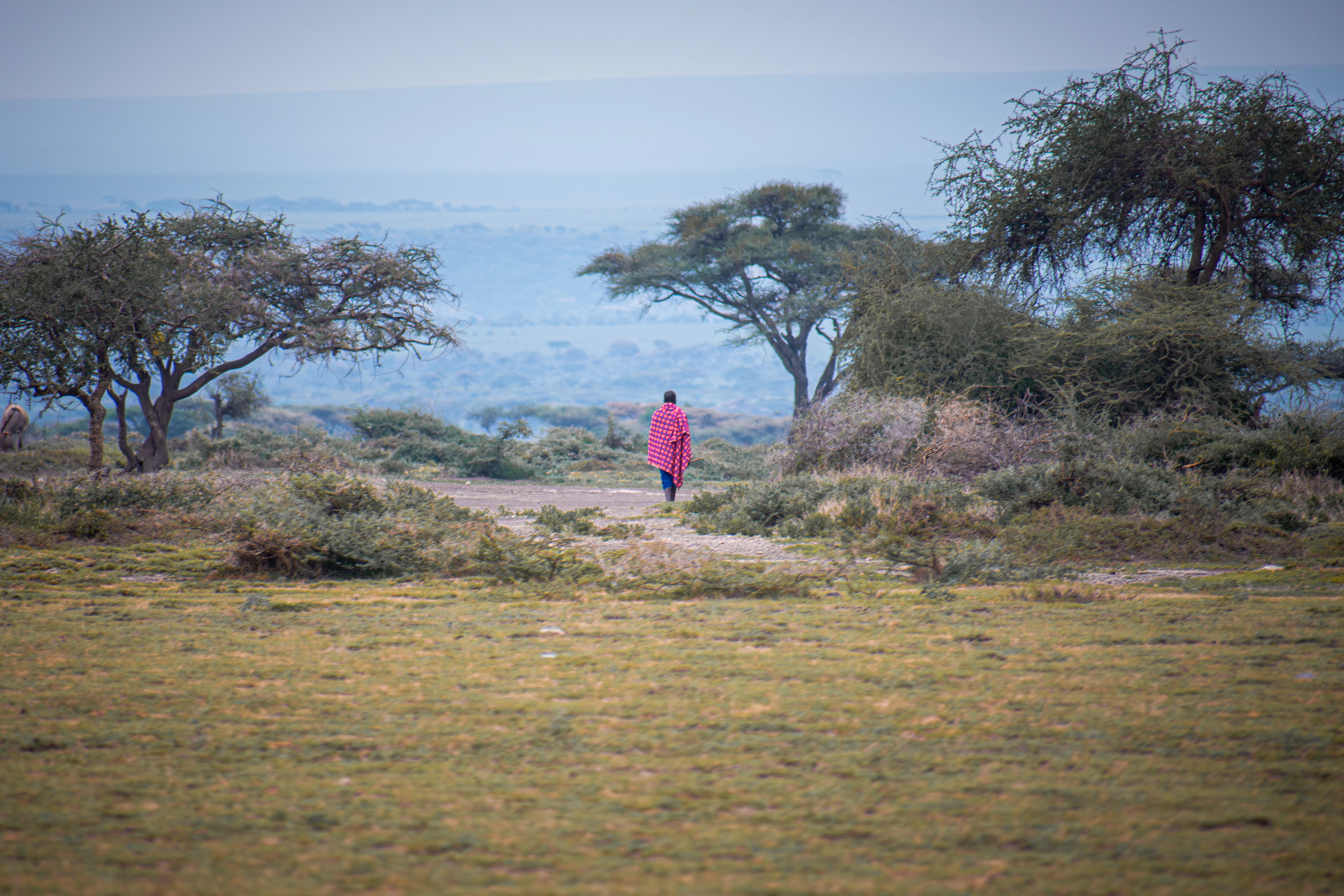 A person walks across an open african landscape.