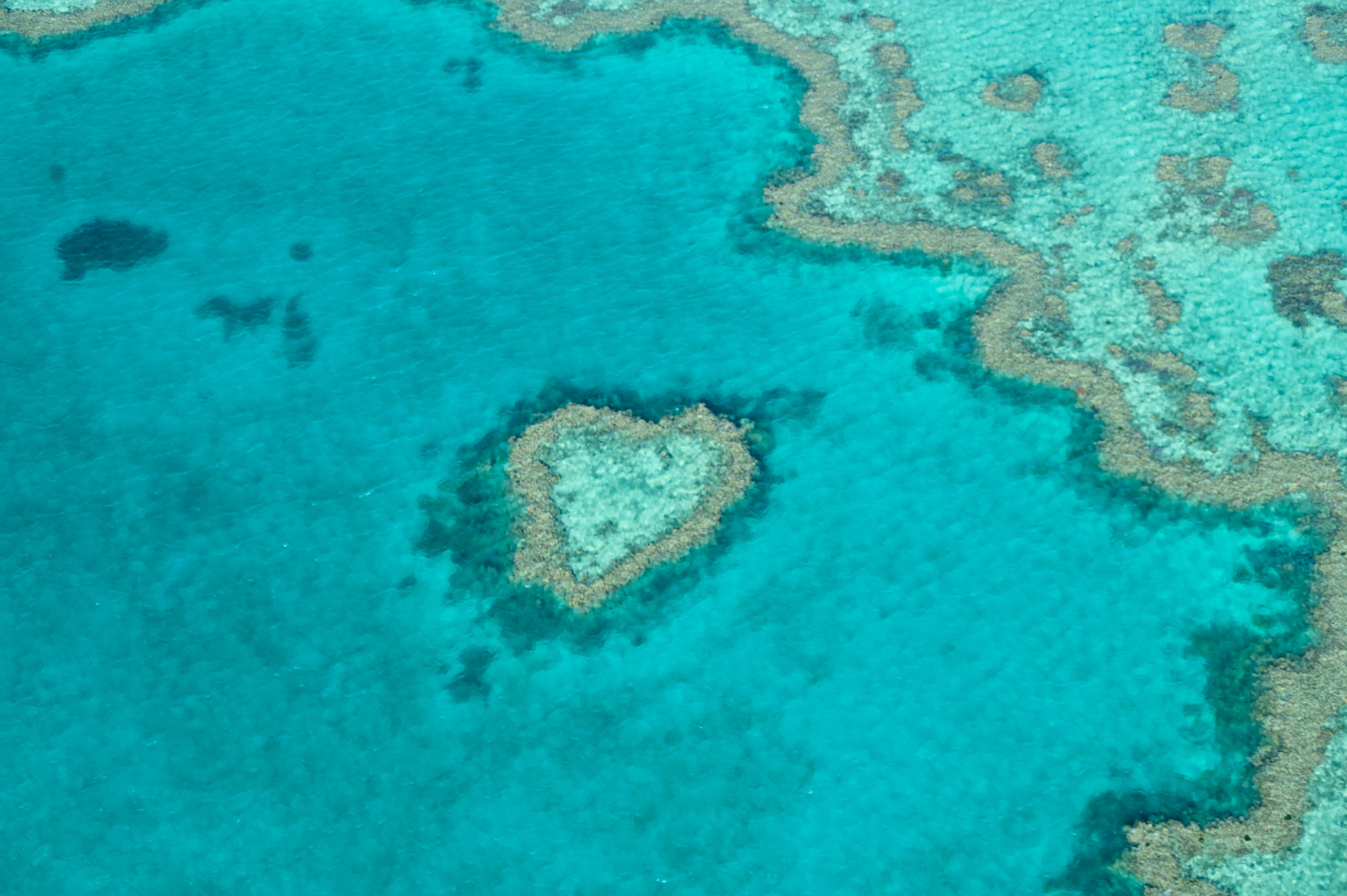Aerial view of a heart-shaped coral reef formation.