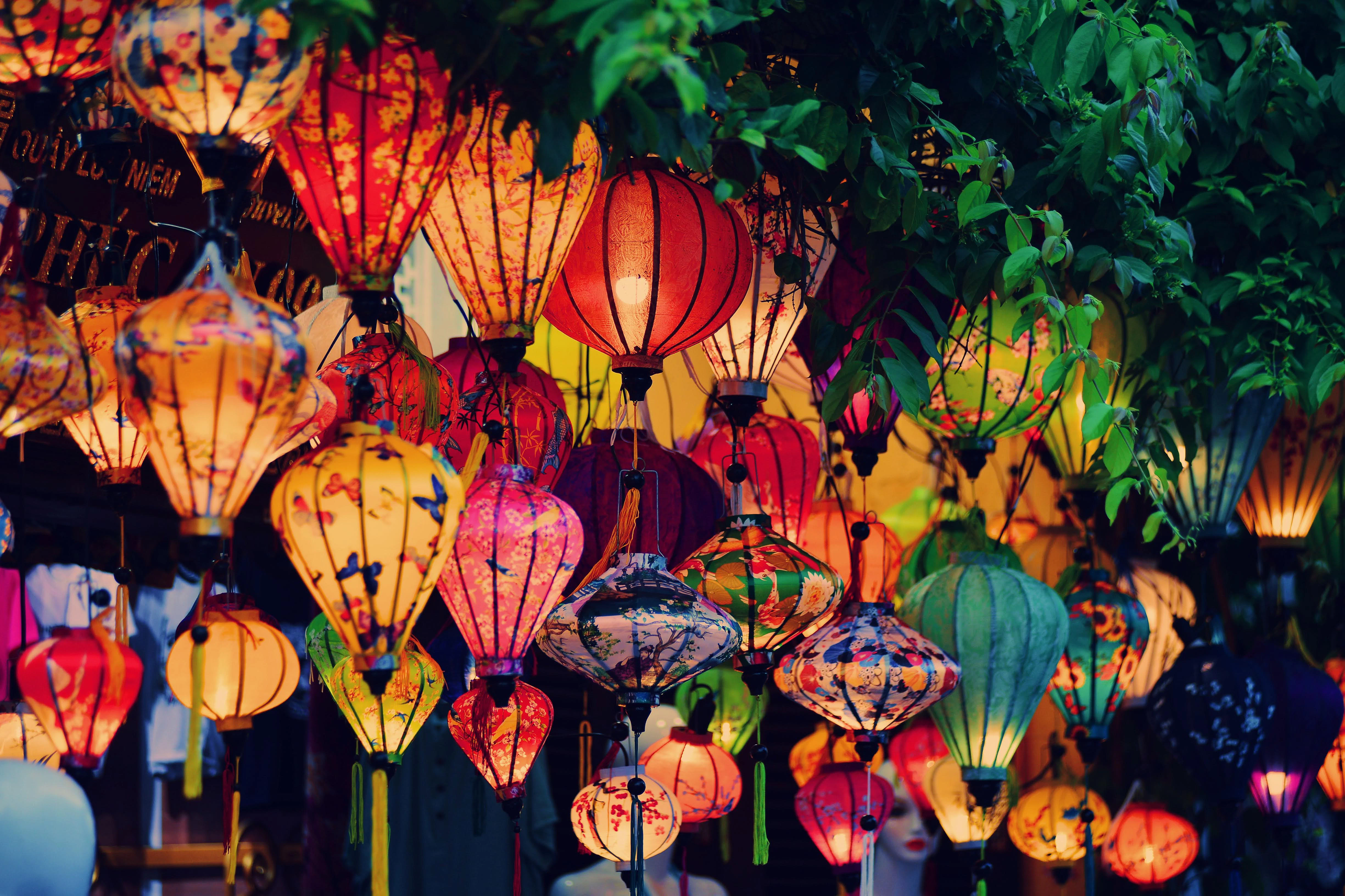 a bunch of lanterns that are hanging from a tree