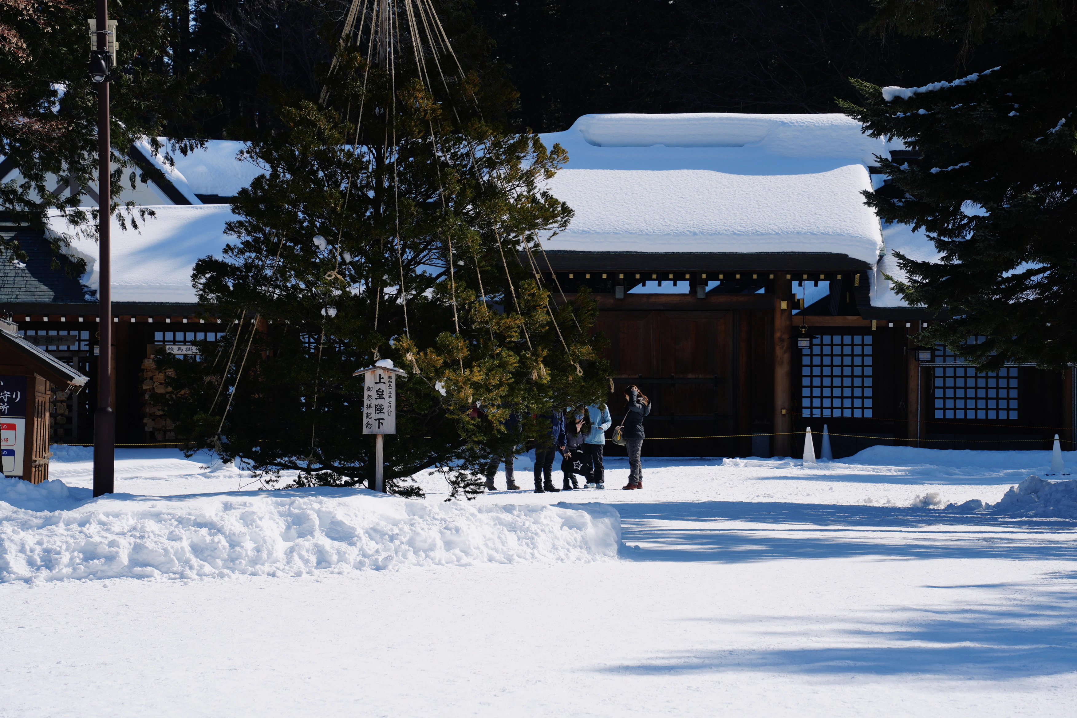 People prepare a tree in front of a snowy building.