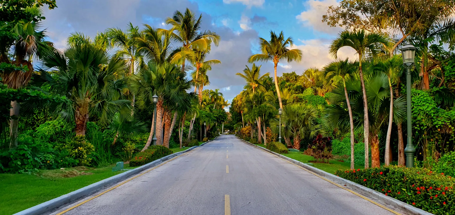 a street lined with palm trees next to a lush green park