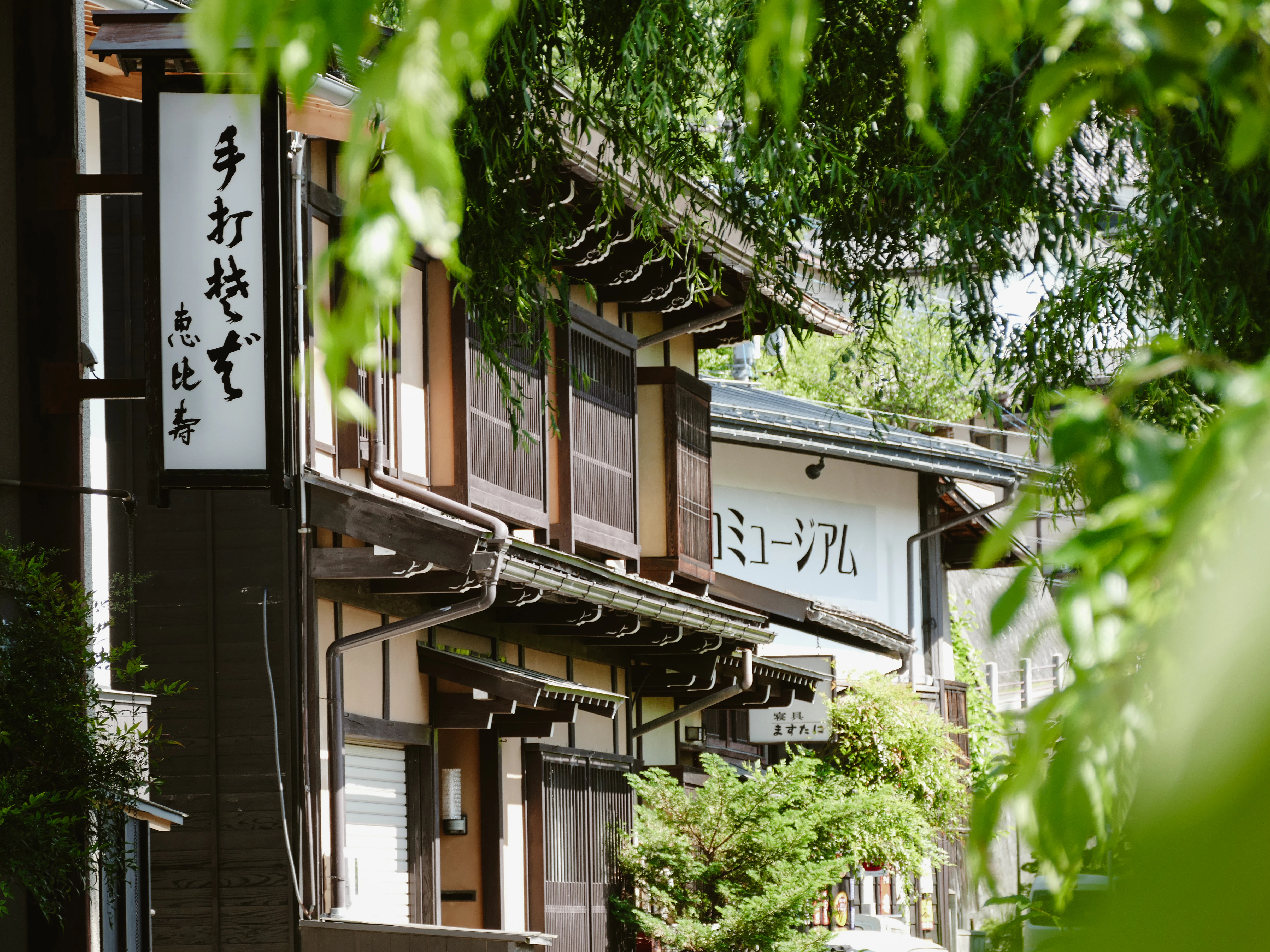 Japanese shop exterior is seen through the leaves.