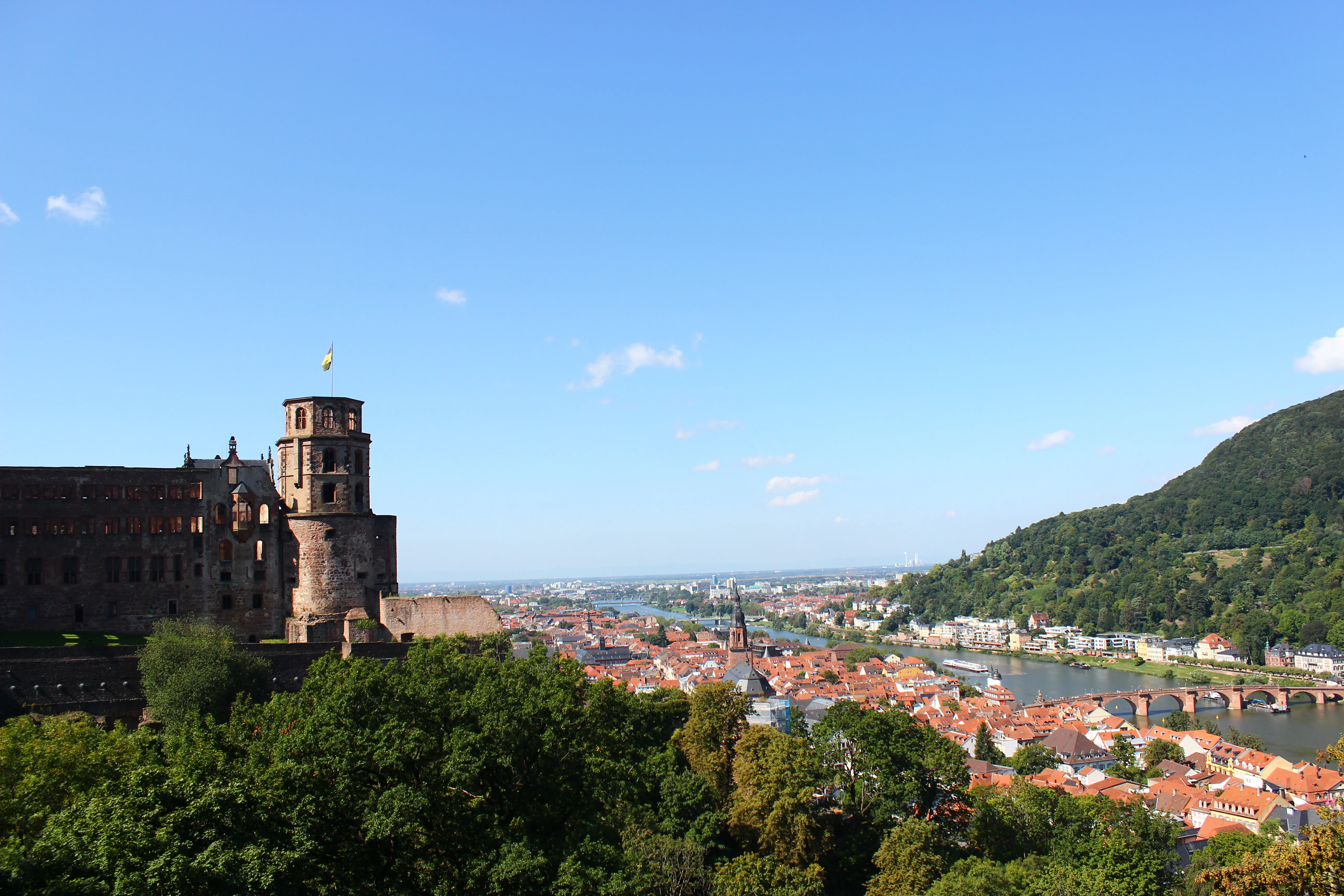 a view of a city and a river from a hill